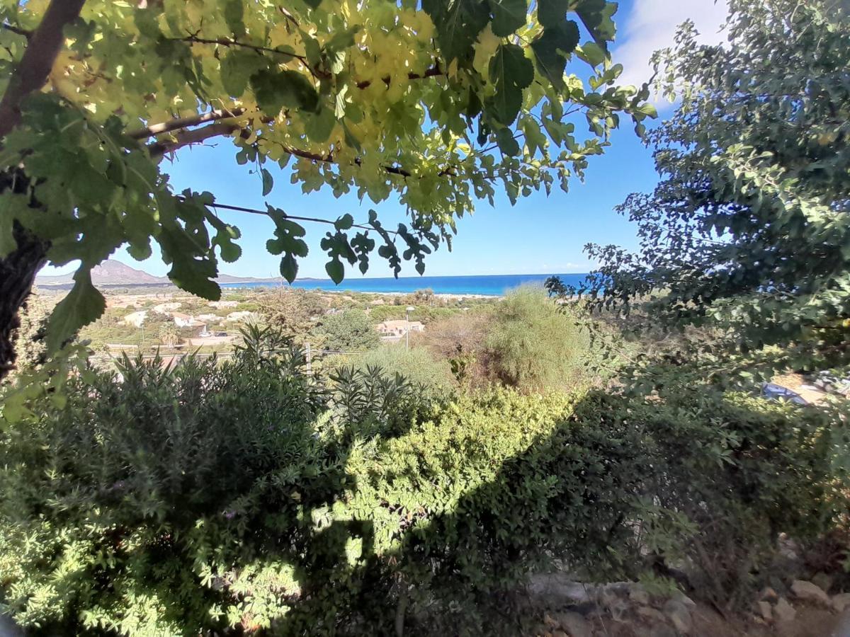 Holiday home Nuova Valmar 
